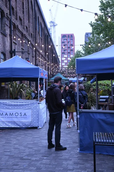 DSC_1557 (Large).JPG